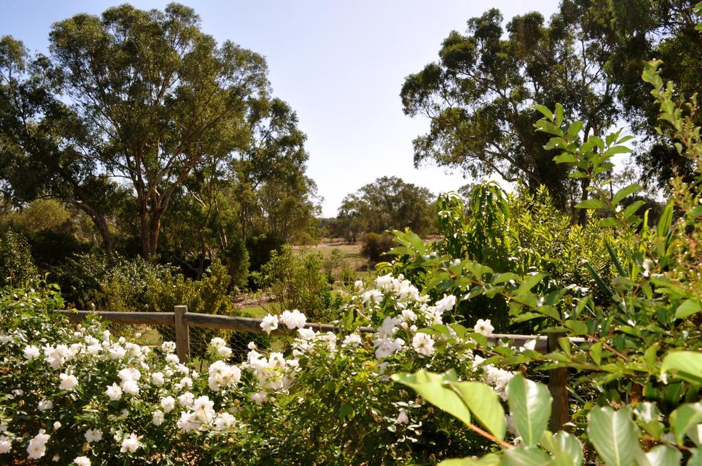 Guildford River Retreat Perth Exterior photo